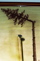 romain baujard_01
