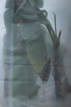 CALZ_03